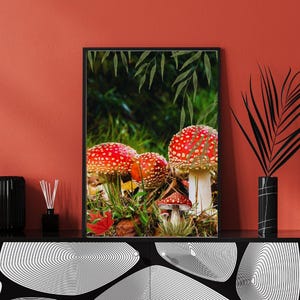 Mushrooms, Nature, Plants, Mushrooms, Digital Prints, Gift Poster, Wallboard, Paintings