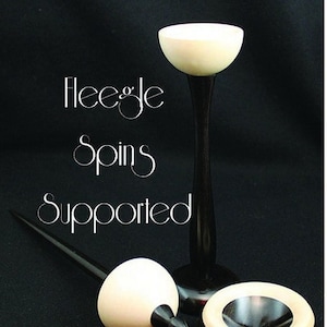 Direct Download of Fleegle Spins Supported eBook with 25 How-To Videos