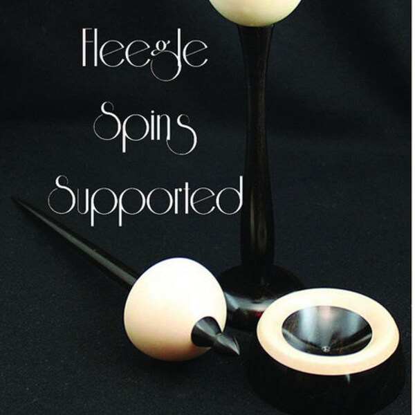 Direct Download of Fleegle Spins Supported eBook with 25 How-To Videos