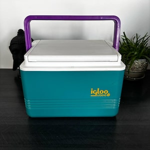 May include: A teal and white Igloo Legend 6 cooler with a purple handle. The cooler has a white lid and the Igloo logo is visible on the front. The cooler is sitting on a dark surface.