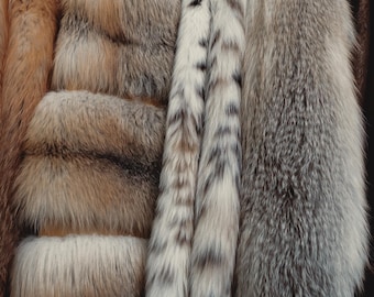 May include: Four different fur coats hanging on a rack. The coats are made of different types of fur, including fox, lynx, and mink. The coats are all in various shades of brown, gray, and white.