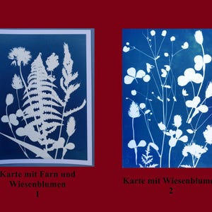 Postkarten; Farn und Wiesenblumen; handgemacht; Cyanotypie-Original; Sonnendruck; Blaudruck; Papierkarton