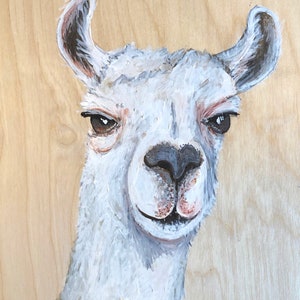 llama