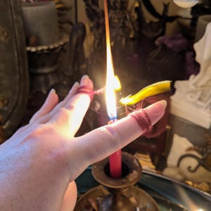 Cord Cutting Ceremony