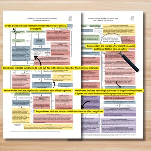 May include: Two-page document titled "Cognitive Disorders Decision Tree" with flowcharts. Green boxes indicate onset/time features, blue boxes indicate symptoms, yellow boxes indicate psychiatric conditions, red boxes indicate neurological causes, and purple boxes indicate motor conditions.