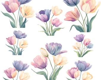 Pastel Tulip Clipart Bundle, Watercolor Spring Flower PNG, JPG, PDF ...