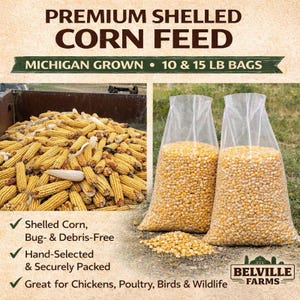 Michigan Shelled Corn, Whole Kernel Animal Feed (10-15 lb)