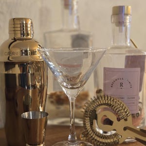 Gorgeous Gold 4 Piece Martini Shaker Set-Gold 14oz Shaker, Gold Double Jigger, Gold Strainer and 8oz Martini/Margarita Glass-Mix Like a Pro