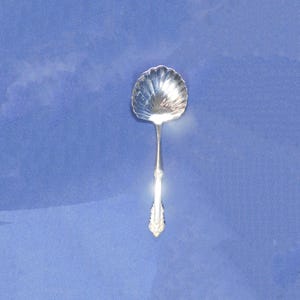 May include: A silver spoon with a shell-shaped bowl and a decorative handle. The spoon is made of a shiny, reflective metal and is set against a blue background. The handle has an ornate design at the base.