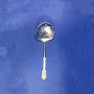 May include: A silver serving spoon with a shell-shaped bowl and ornate handle. The spoon is made of a shiny, reflective metal and is set against a blue background. The handle has a detailed, decorative design.