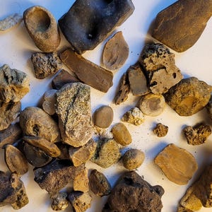 Natural Creek Rock Collection w/ Fossils – One lb Assorted River Stones for Crafts, Terrariums, Fairy Gardens, Home Decor