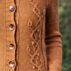May include: A brown knitted cardigan with a cable knit design and wooden buttons.