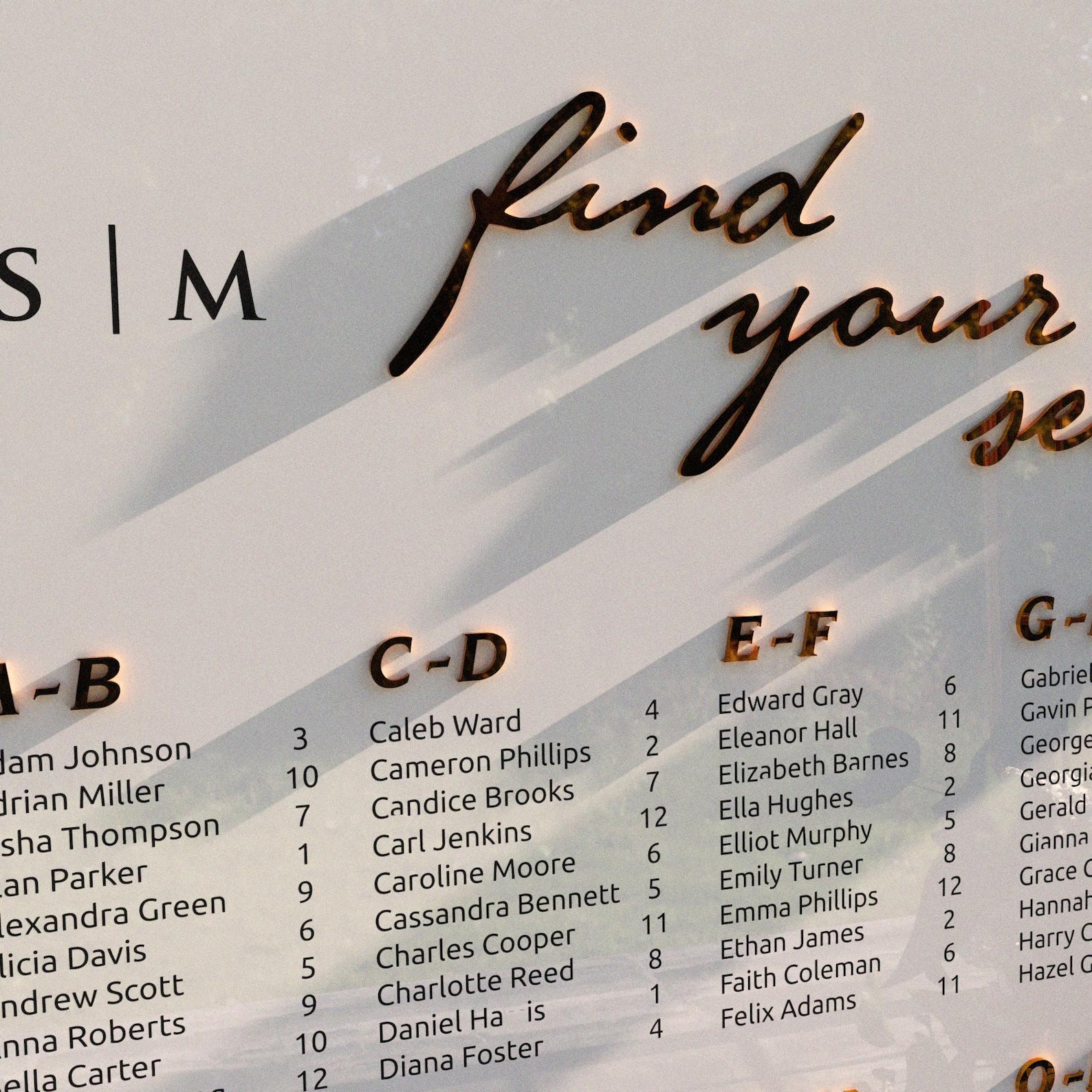 Acrylic Alphabetical Seating Chart, Wedding Seating Plan, 3D Lettering ...