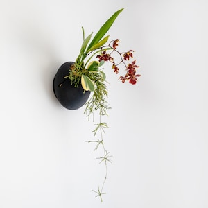 May include: A black ceramic wall planter with a cascading vine and red and yellow orchid flowers.