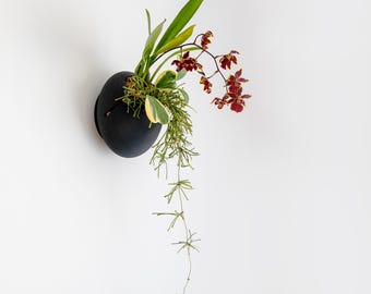 VerdiPot® Cloud Self-Watering Wall Mount Planters | Modern Indoor Plant Pots for Healthy Growth