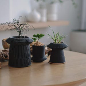 May include: Three black planters with different designs, each holding a small plant. The planters are on a light wood table.