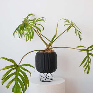 VerdiPot® Pebble Self-Watering & Air Pruning Planters | BLACK