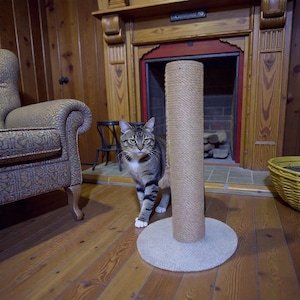 May include: A tabby cat stands beside a tall scratching post. The post is made of natural rope and sits on a round, beige base. The cat has brown and black stripes. The room has wooden panelling and a fireplace in the background.