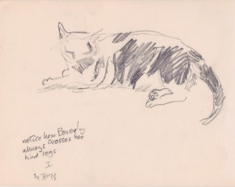 Dessin au crayon d'un chat par l'artiste de Chicago, Howard Mueller