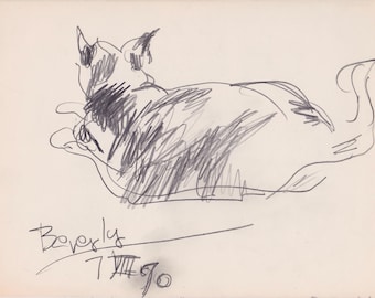 Pencil Sketch of Cat by Chicago Artist Howard Mueller