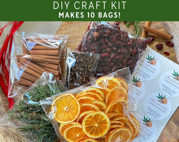 DIY Holiday Simmer Potpourri Kit, Christmas Craft Gift for Friends, Family, Neighbors, Co-workers, Teachers