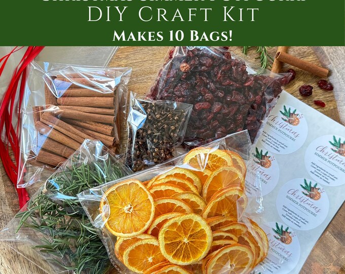 DIY Holiday Simmer Potpourri Kit, Christmas Craft Gift for Friends, Family, Neighbors, Co-workers, Teachers