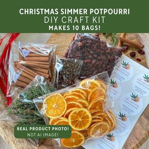 Christmas Simmer Pot DIY Craft Kit, Girls Night-In Activity, Bulk Christmas Gifts