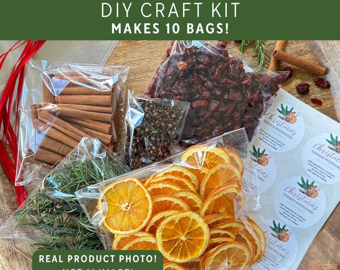 Christmas Simmer Pot DIY Craft Kit, Girls Night-In Activity, Bulk Christmas Gifts