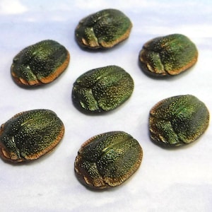 Rare 1920s SCARAB Vintage Glass Cabachon Stones Egyptian Revival Art Deco S-52