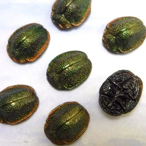 Puede incluir: Siete botones con forma de escarabajo, seis son verdes con detalles dorados y uno es negro.