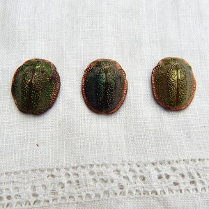 Cabujón de cristal SCARAB de estilo egipcio vintage de la década de 1920, con piedras antiguas y estilo Art Déco S-52 imagen 8
