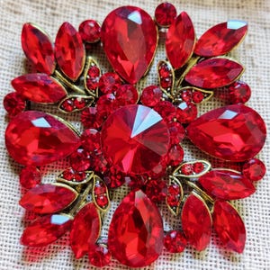 May include: A decorative brooch featuring a cluster of vibrant red faceted crystals in various shapes, including pear, marquise, and round cuts. The stones are set in an antique-style gold-toned metal frame, creating a dense, symmetrical floral pattern.