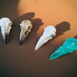 Handmade Resin Bird Skull Magnets | Mini Skull Magnet | Oddities Curiosity Gift | Spooky Home Decor