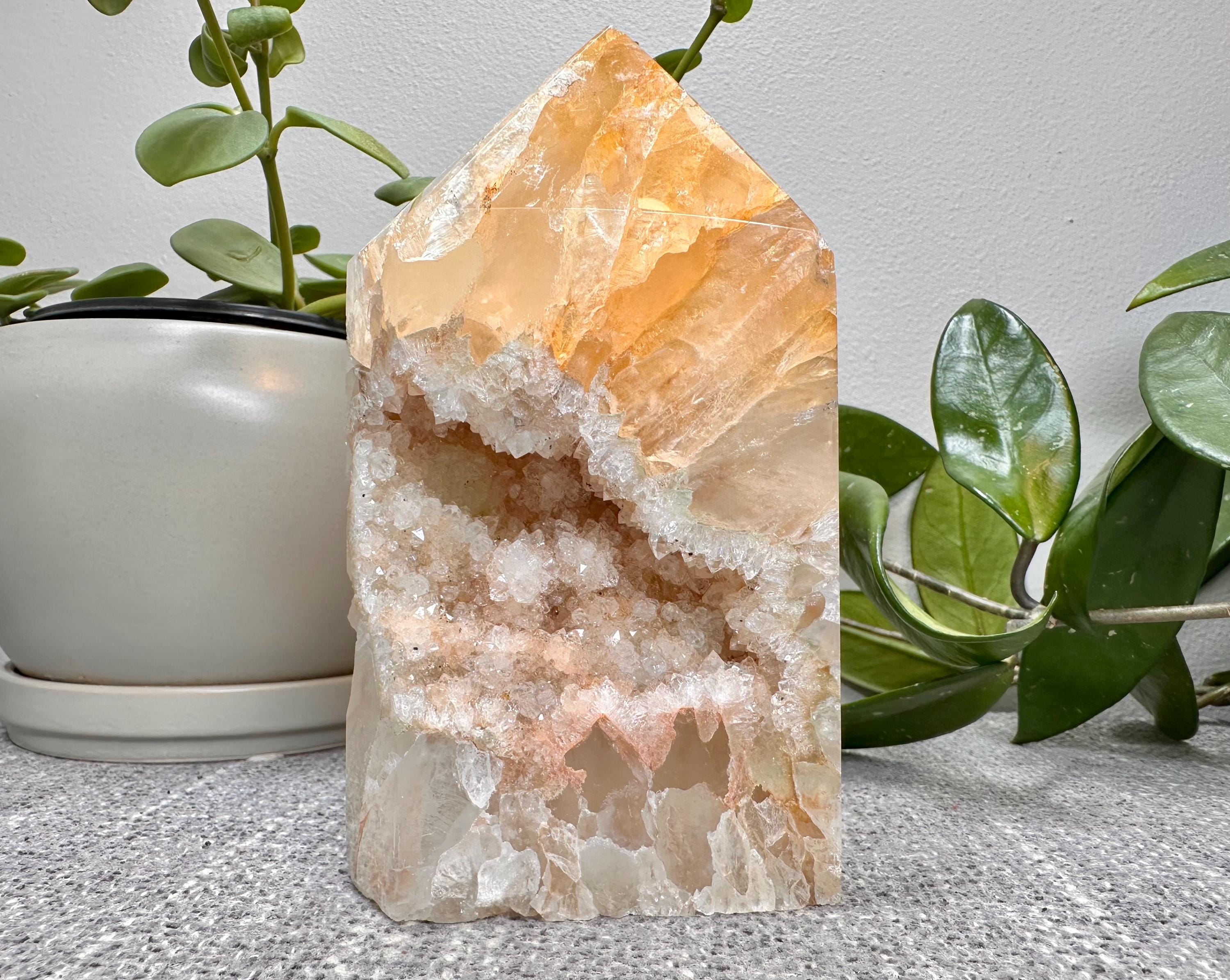 【美品】宝石の睡蓮 (CMM) 美品】宝石の睡蓮 (CMM)