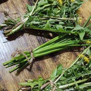 May include: Several bundles of fresh green chives and dandelion plants with yellow flowers, each tied together with natural brown twine. The bundles consist of long, slender green stalks and jagged green leaves, showcasing a variety of textures.