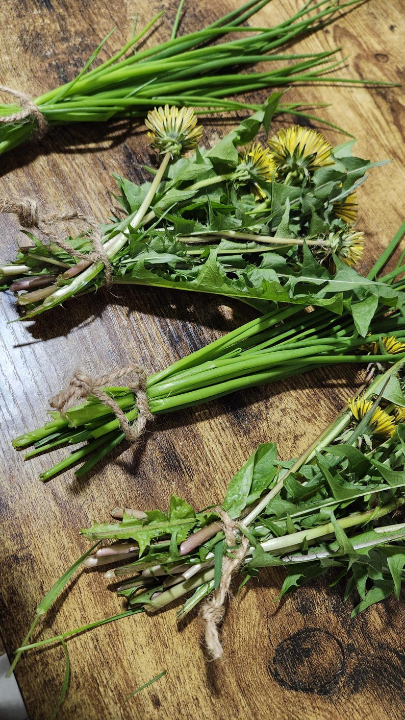 May include: Several bundles of fresh green chives and dandelion plants with yellow flowers, each tied together with natural brown twine. The bundles consist of long, slender green stalks and jagged green leaves, showcasing a variety of textures.