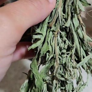 May include: A bundle of dried green herbs with thin, serrated leaves and woody stems. The foliage is muted in color, showing shades of sage and olive green, with some brown discoloration on the stems, indicating the plant has been dehydrated.