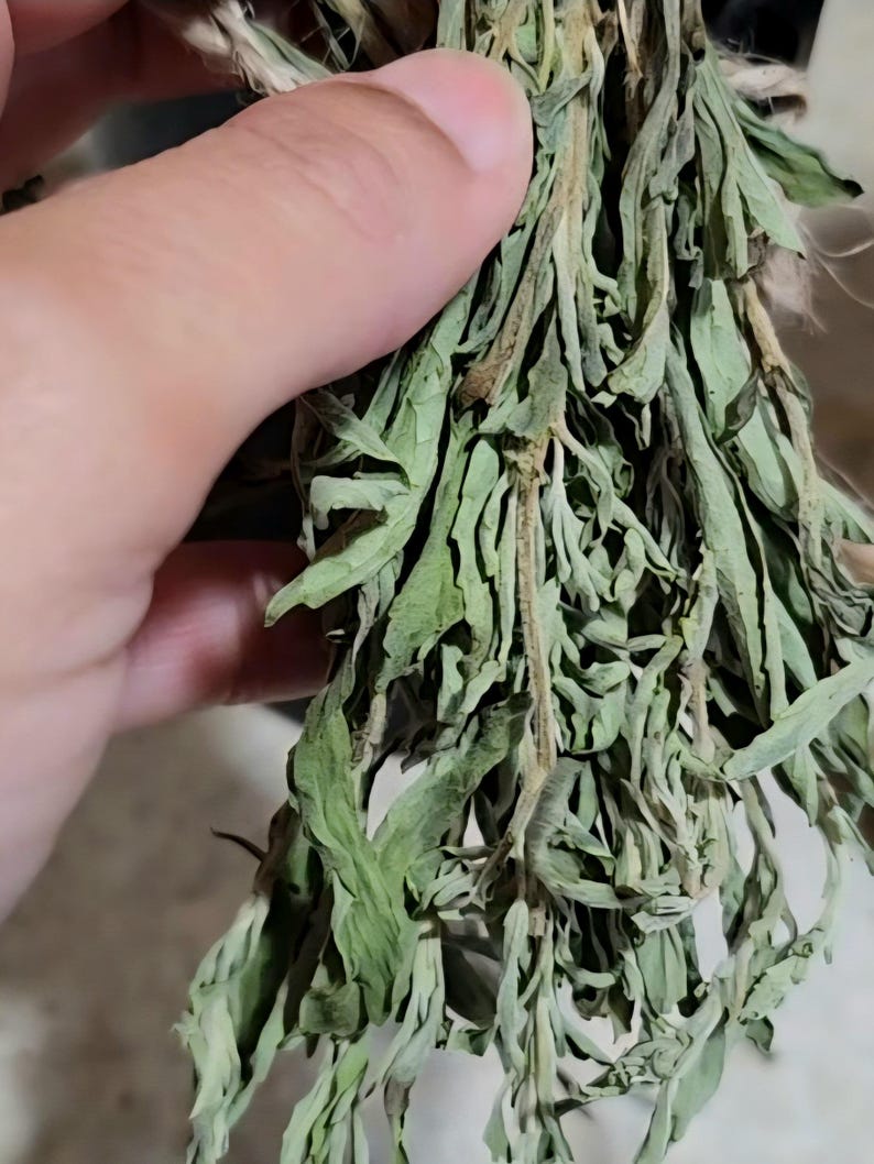 May include: A bundle of dried green herbs with thin, serrated leaves and woody stems. The foliage is muted in color, showing shades of sage and olive green, with some brown discoloration on the stems, indicating the plant has been dehydrated.