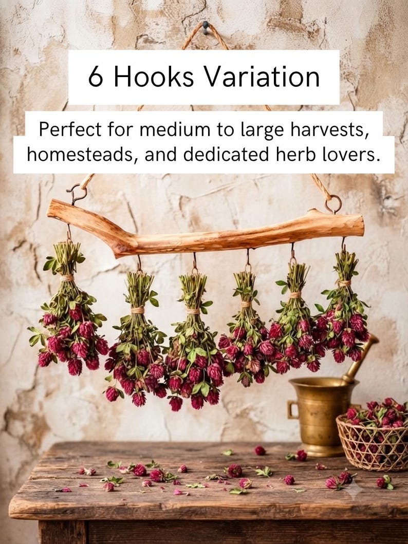 May include: A natural wooden branch hanging rack with six metal hooks, each holding a bundle of dried red clover flowers. The text 6 Hooks Variation and Perfect for medium to large harvests, homesteads, and dedicated herb lovers is displayed.