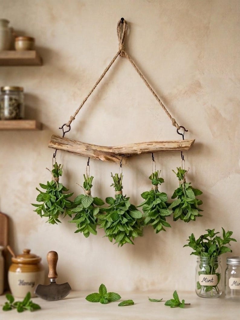 May include: A wall-mounted herb drying rack featuring a natural driftwood branch suspended by a thick jute rope. Five bundles of fresh green mint are tied with twine and hang from metal hooks attached to the underside of the wooden branch.