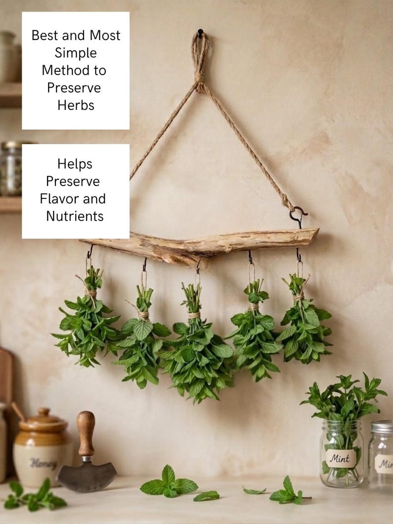 May include: A wall-mounted herb drying rack made from a natural wooden branch suspended by twine. Five bundles of fresh green herbs hang from metal hooks. Text reads: Best and Most Simple Method to Preserve Herbs. Helps Preserve Flavor and Nutrients.