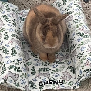 Add On Custom Name for Bunny Lounger Bed, Small Pet Rabbit Pillow, Bunny Flop Bed