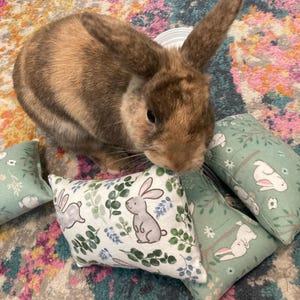 Bunny Toss Pillow Toy, Small Pet Toy, Rabbit Enrichment Toy, Mental Stimulation for Pets, Play Throw Pillow