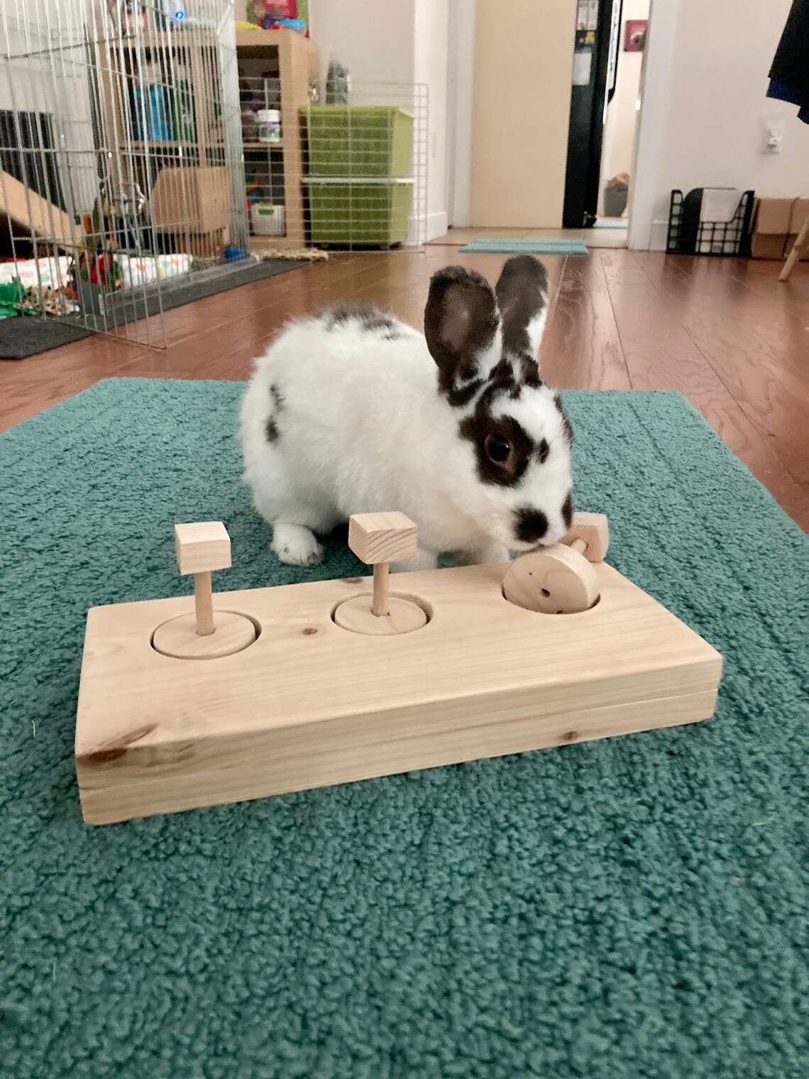 Bunny Rabbit Hide a Treat Toy Small Pet Toy Rabbit Etsy