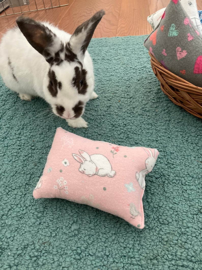 Bunny Toss Pillow Toy Small Pet Toy Rabbit Enrichment Toy Etsy