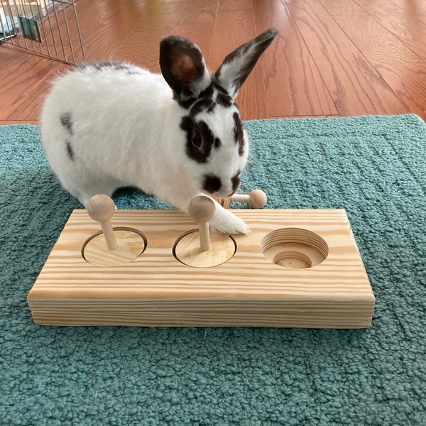 Bunny Wood Hide a Treat Toy, Small Pet Chew Toy, Rabbit Enrichment, Mental Stimulation for Pets