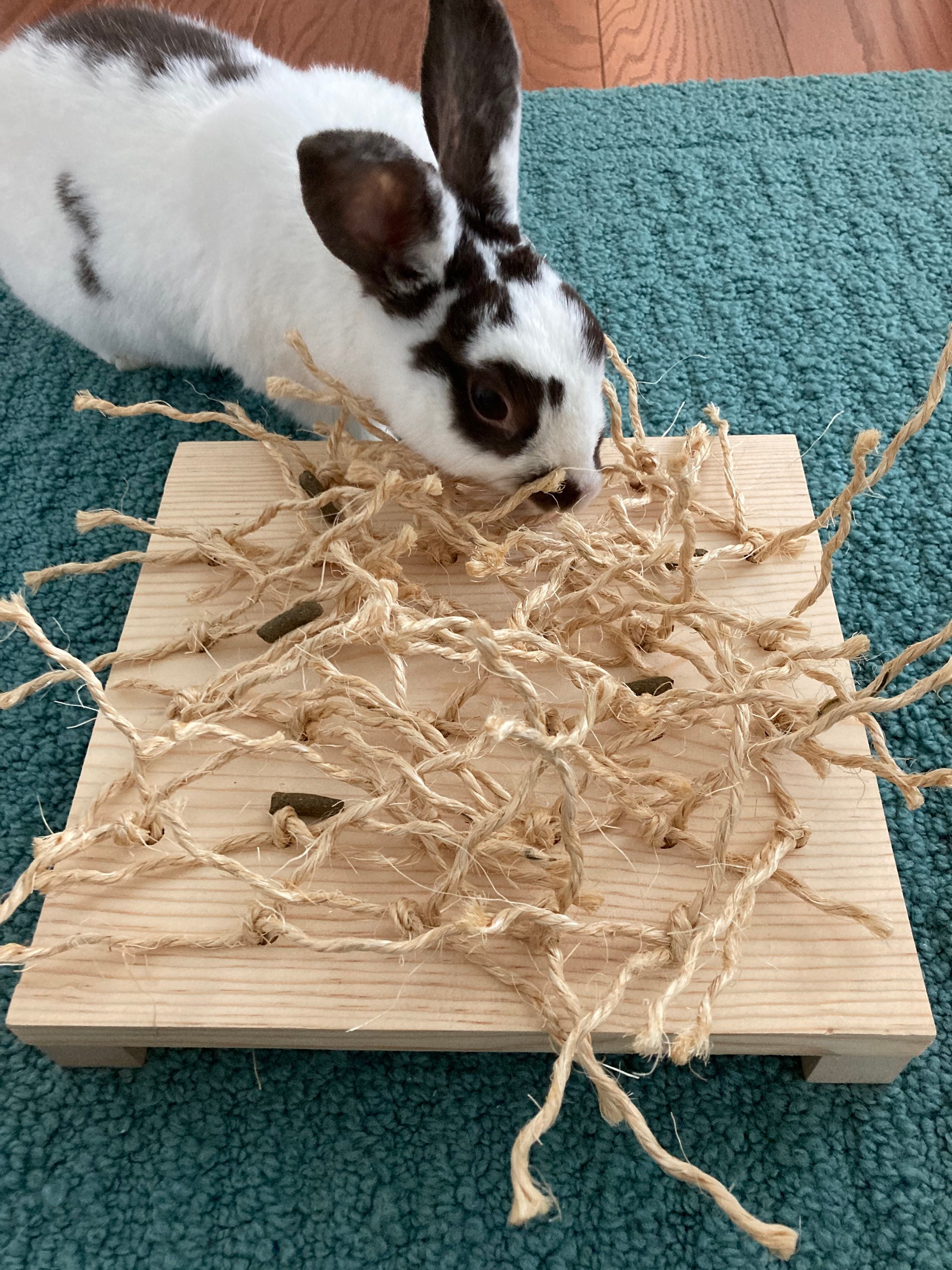 Bunny Wood Sisal Digging Toy, Small Pet Chew Toy, Rabbit Enrichment, Mental  Stimulation for Pets 