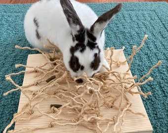 Buy Bunny Sisal Digging Toy: Wood Sisal Enrichment, Small Pet