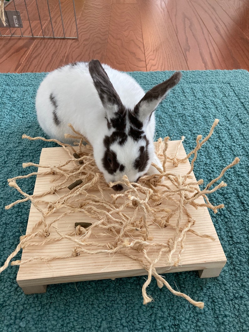 Bunny Wood Sisal Digging Toy Small Pet Chew Toy Rabbit Etsy Australia