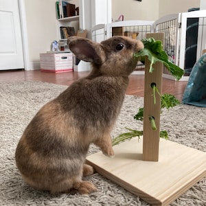 Bunny Wood Lettuce Tree, Foraging Toy, Small Pet Chew Toy, Rabbit Enrichment, Mental Stimulation for Pets